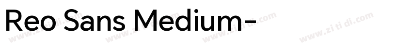 Reo Sans Medium字体转换